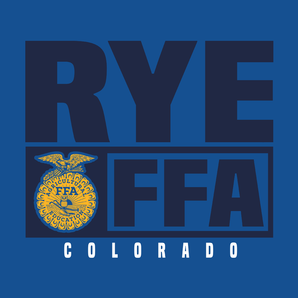 FFA616