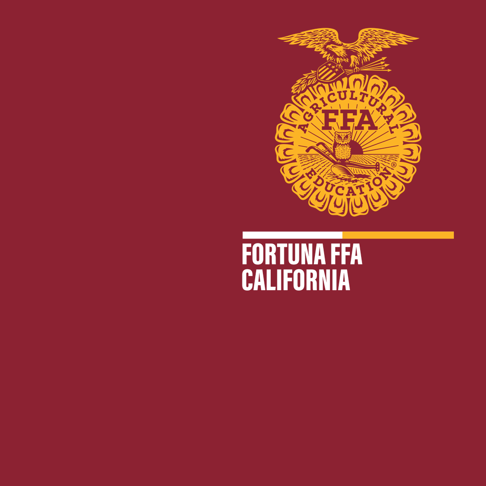 FFA618a