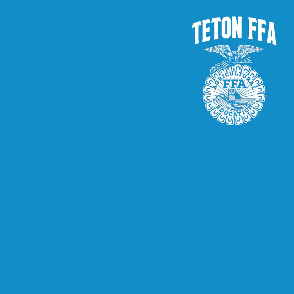 FFA633a