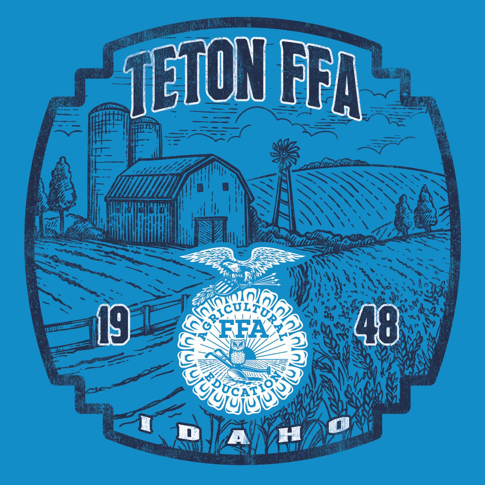 FFA633b