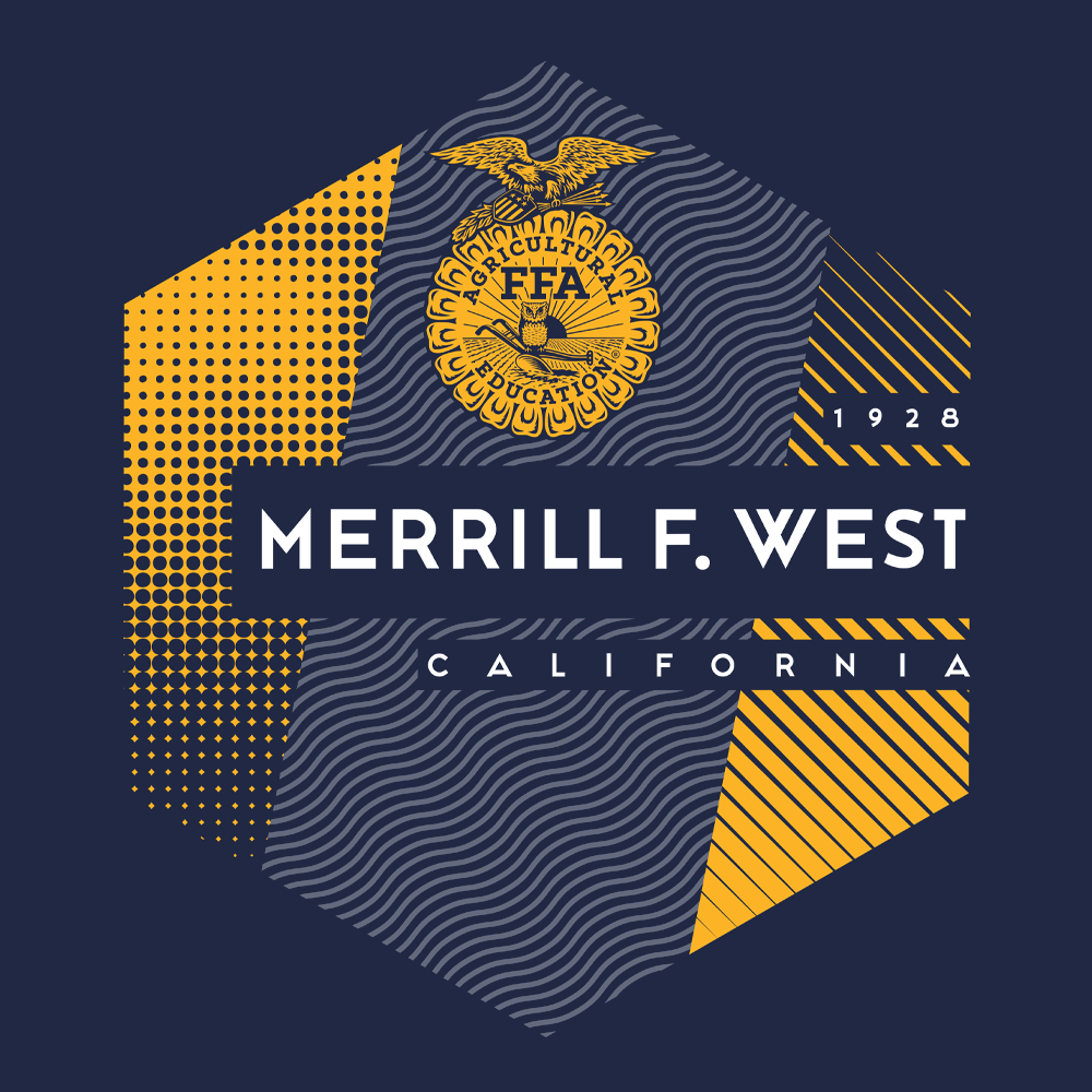 FFA639