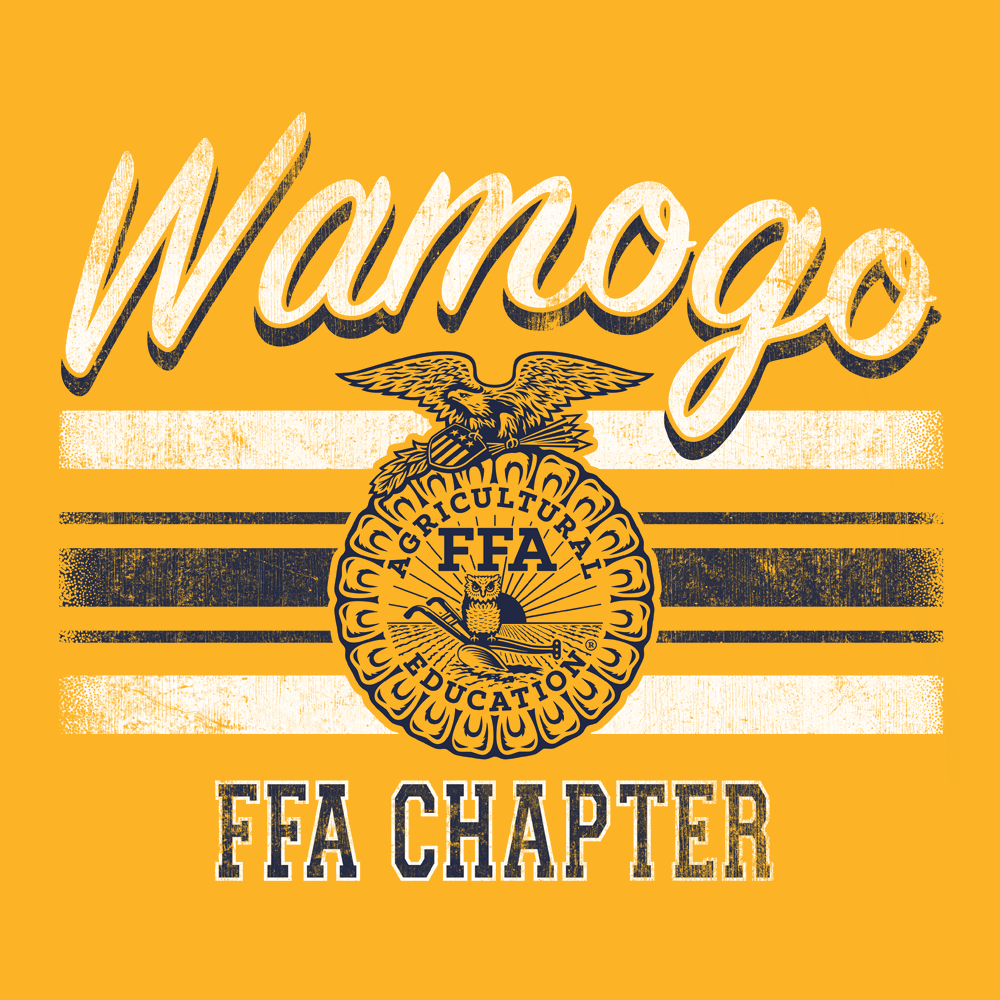 FFA643