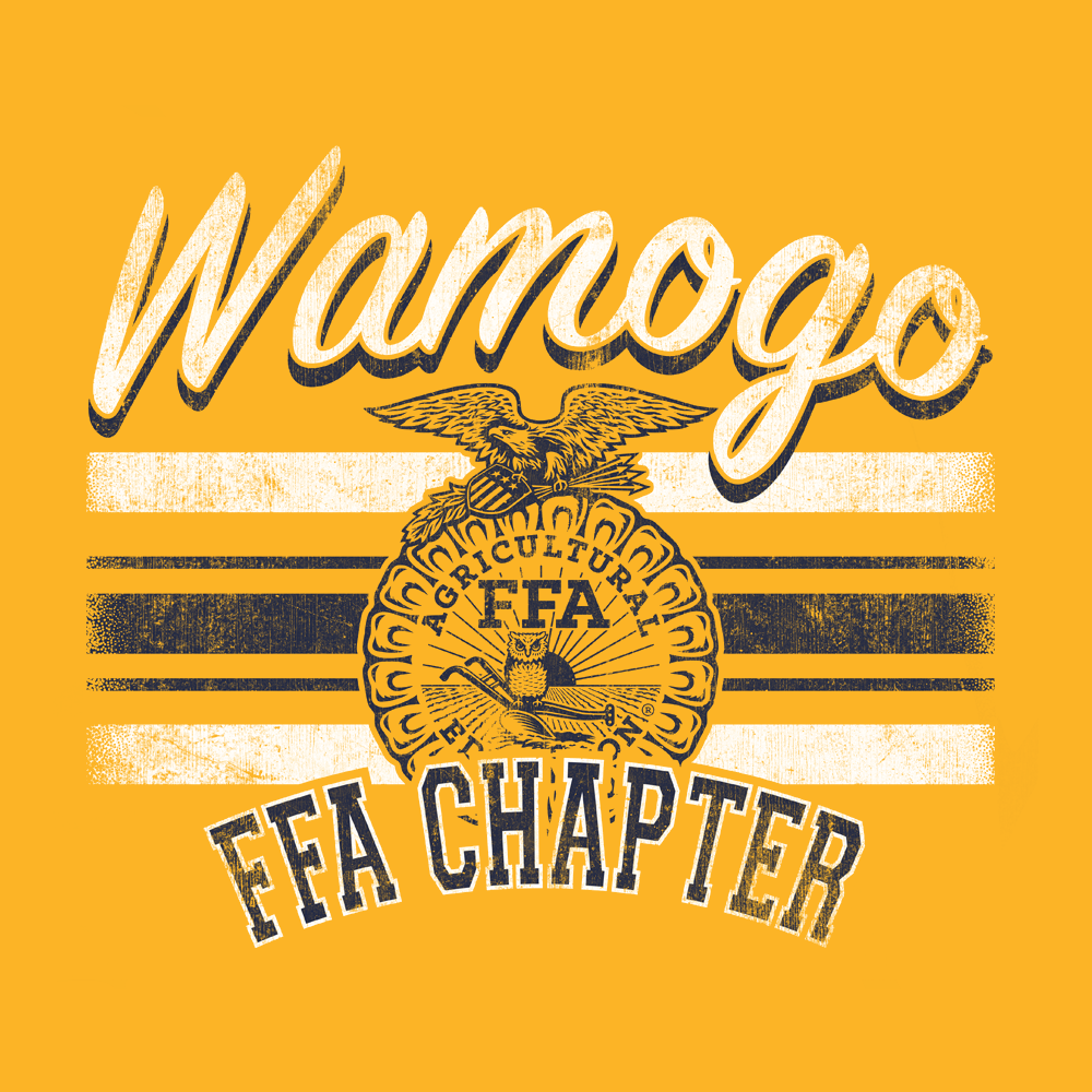 FFA643