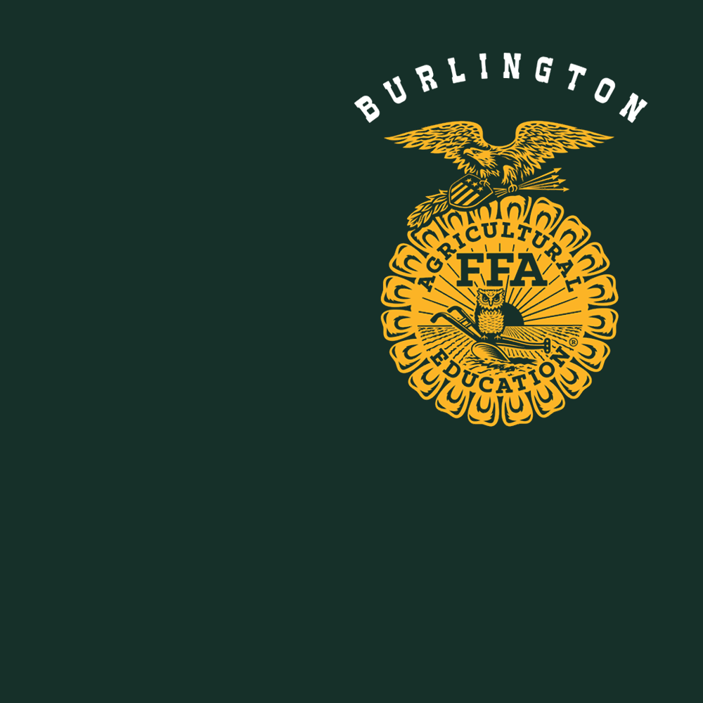 FFA655a