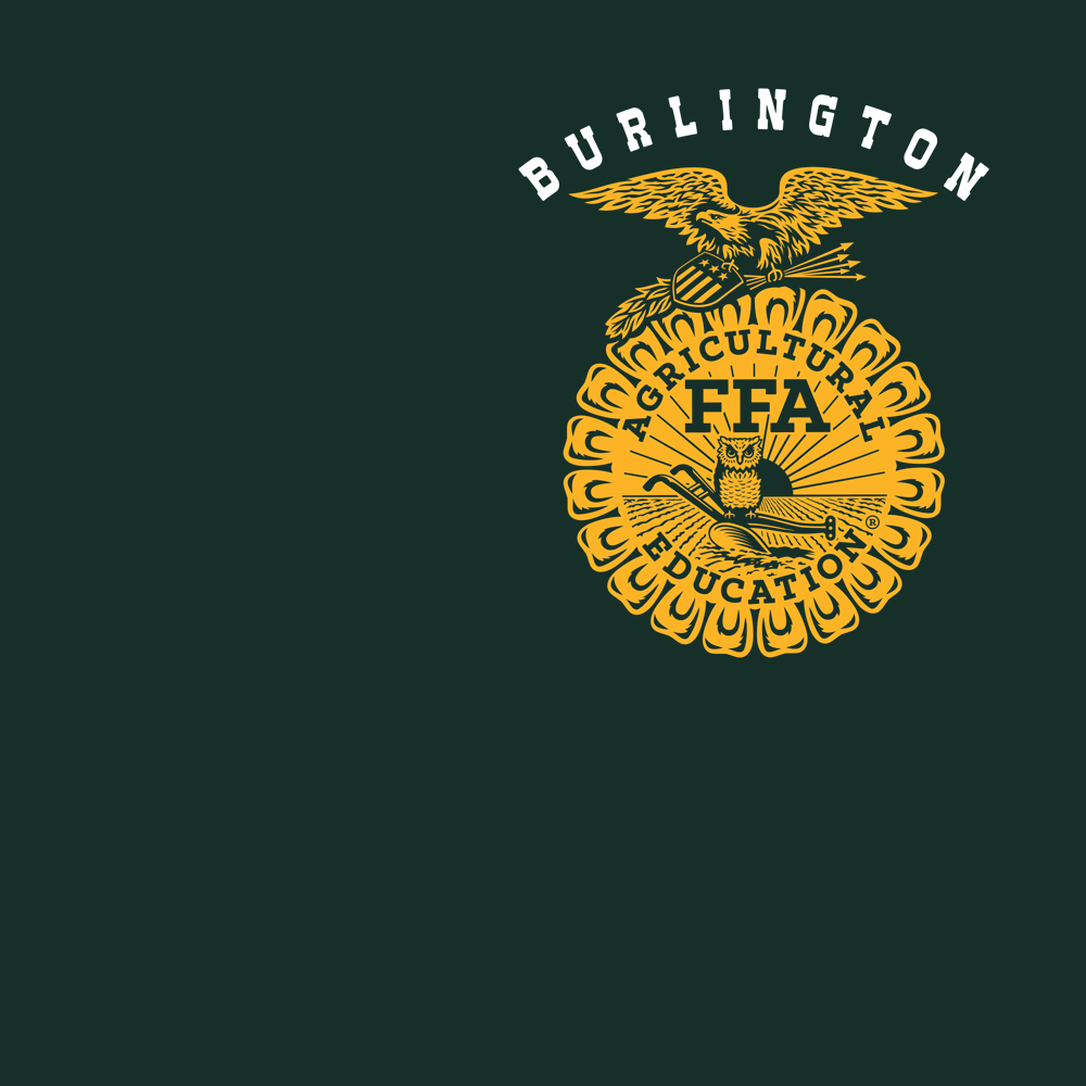 FFA655a