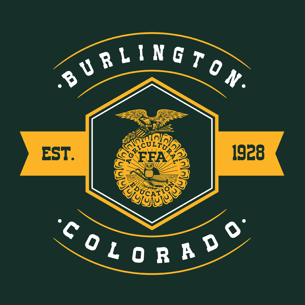 FFA655b