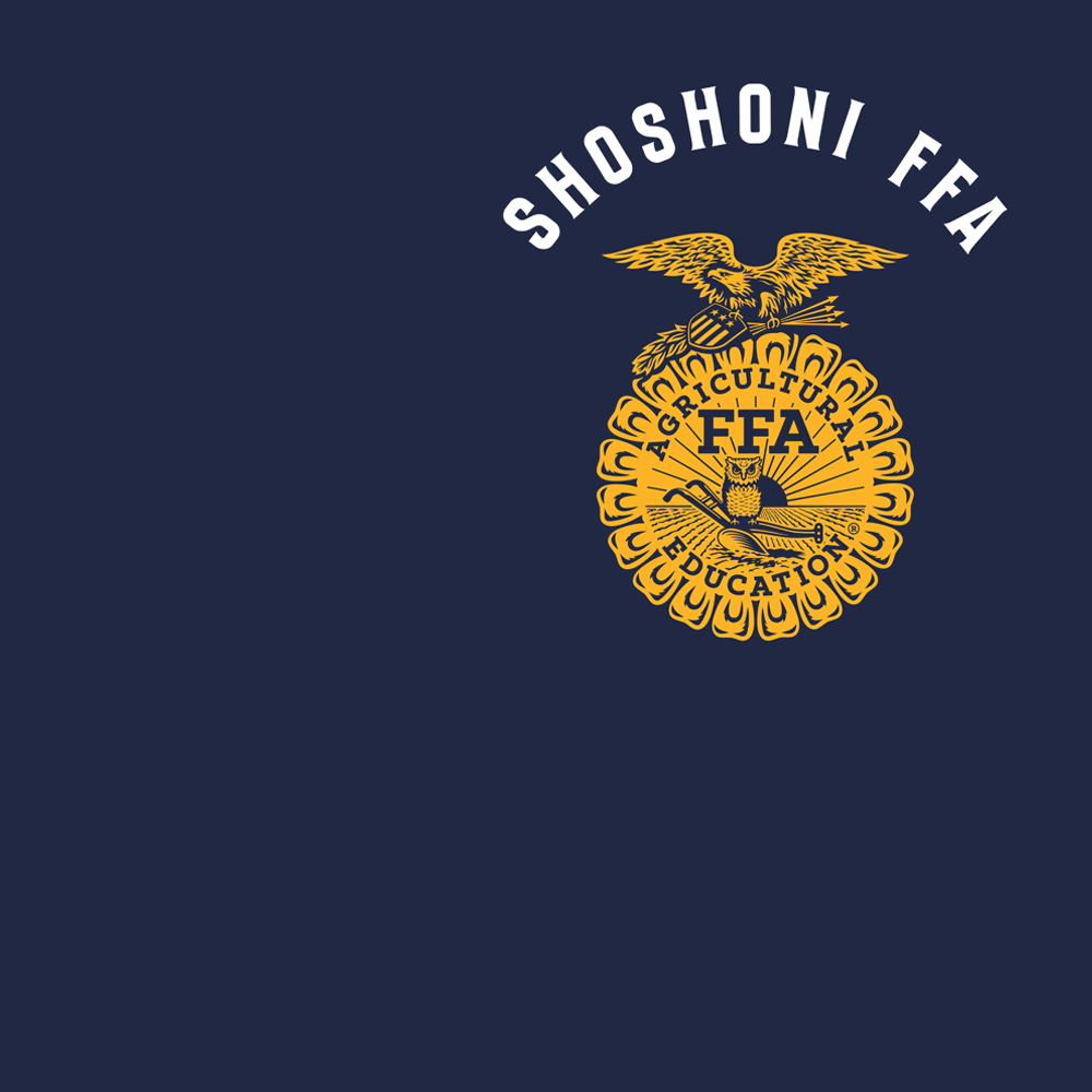FFA661a