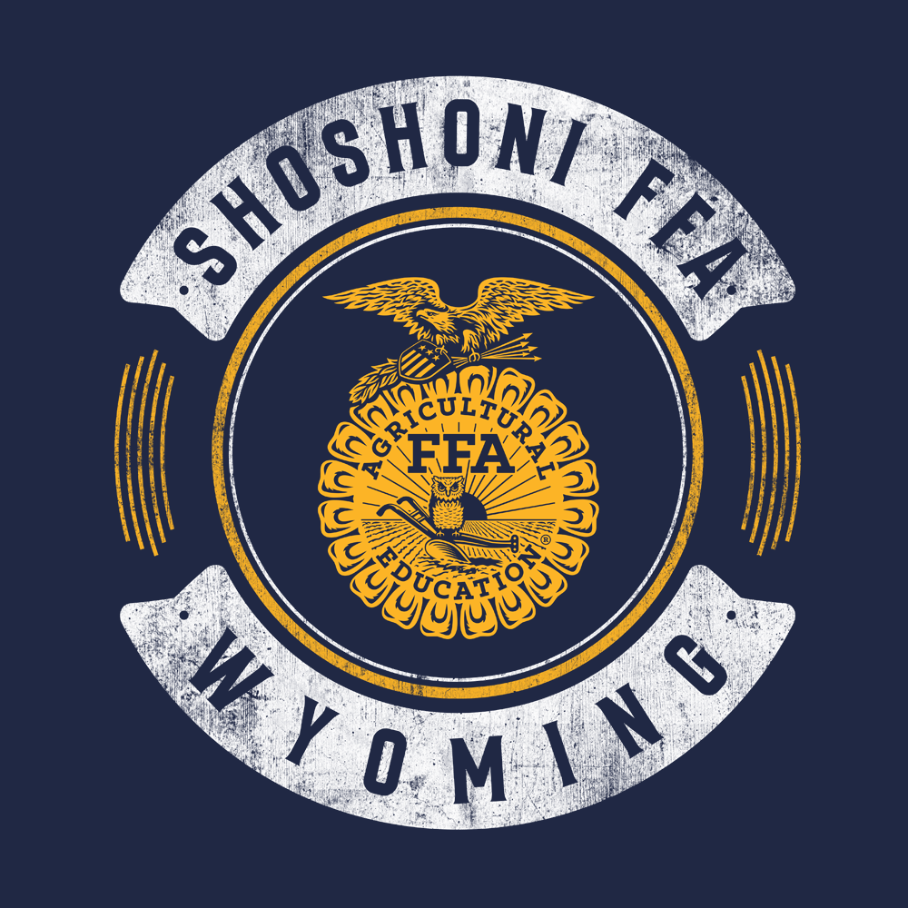 FFA661b