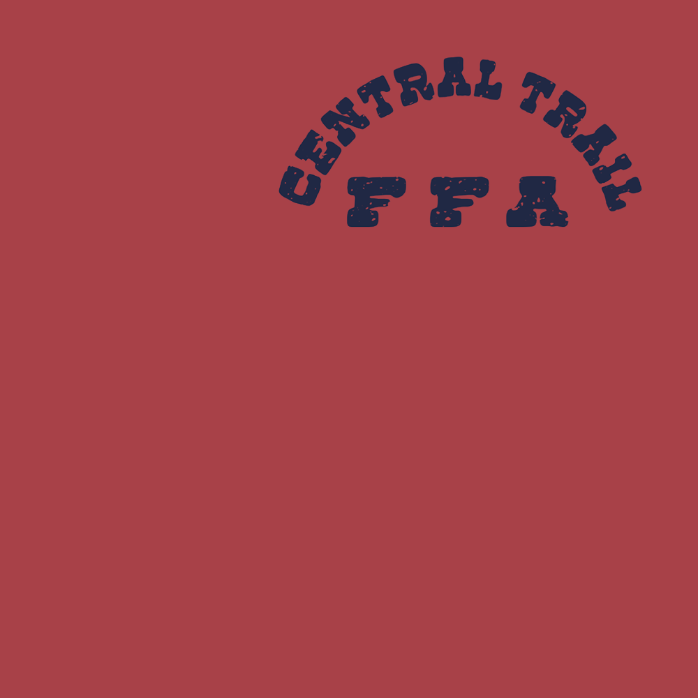 FFA663a