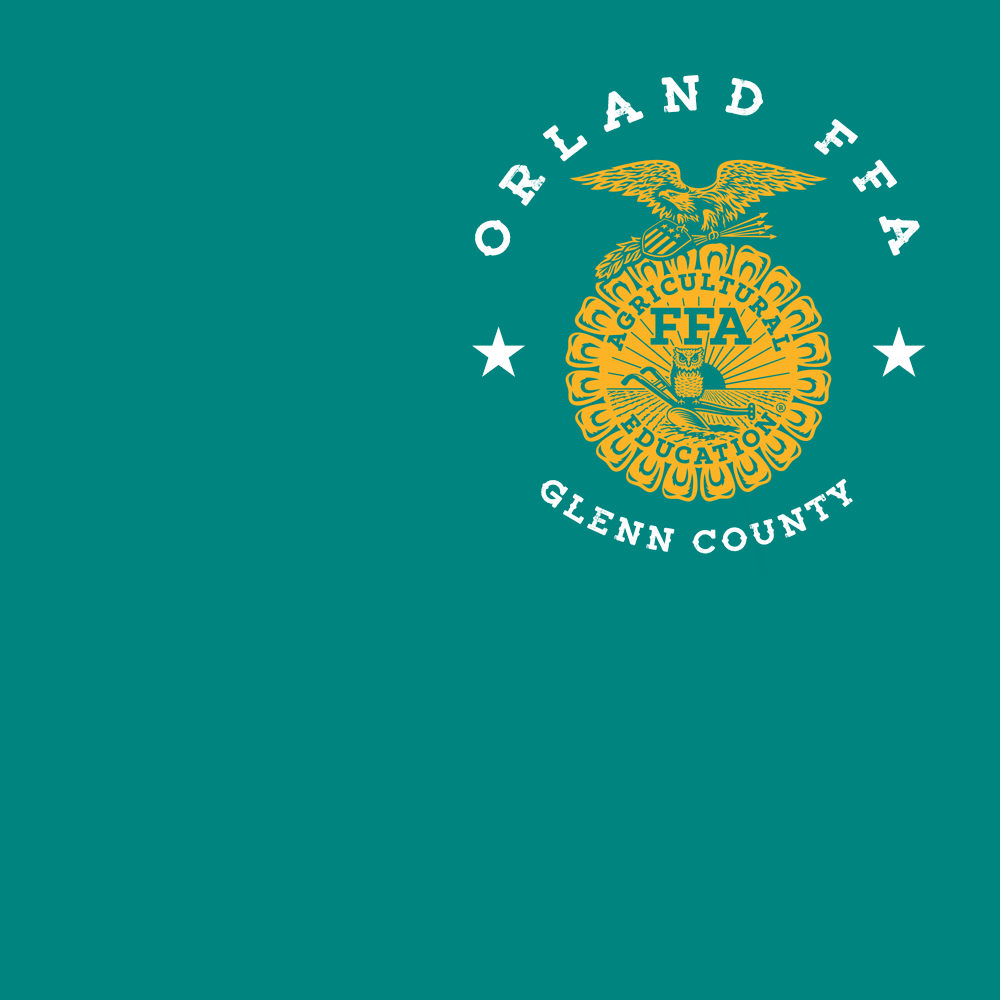 FFA673a