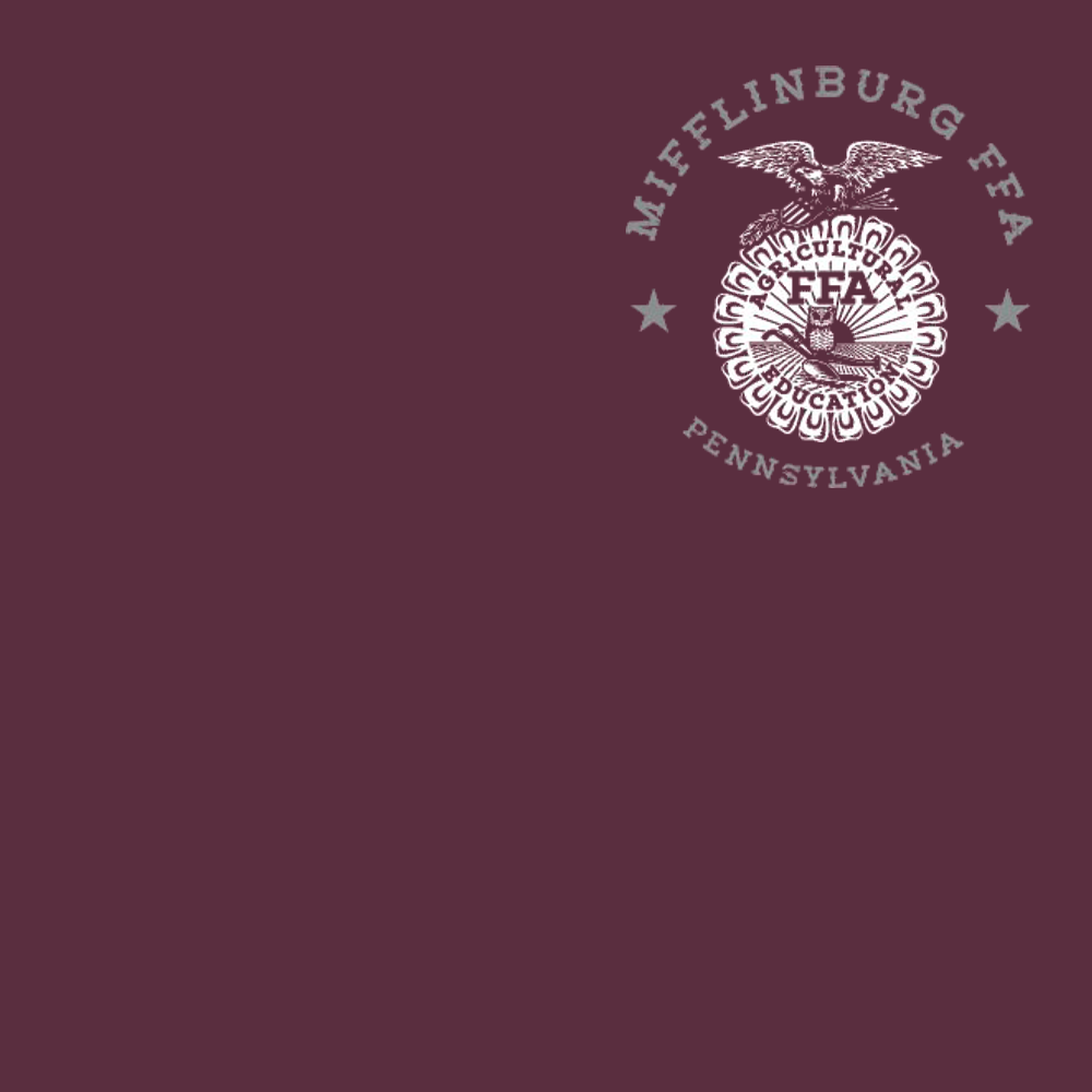 FFA673a
