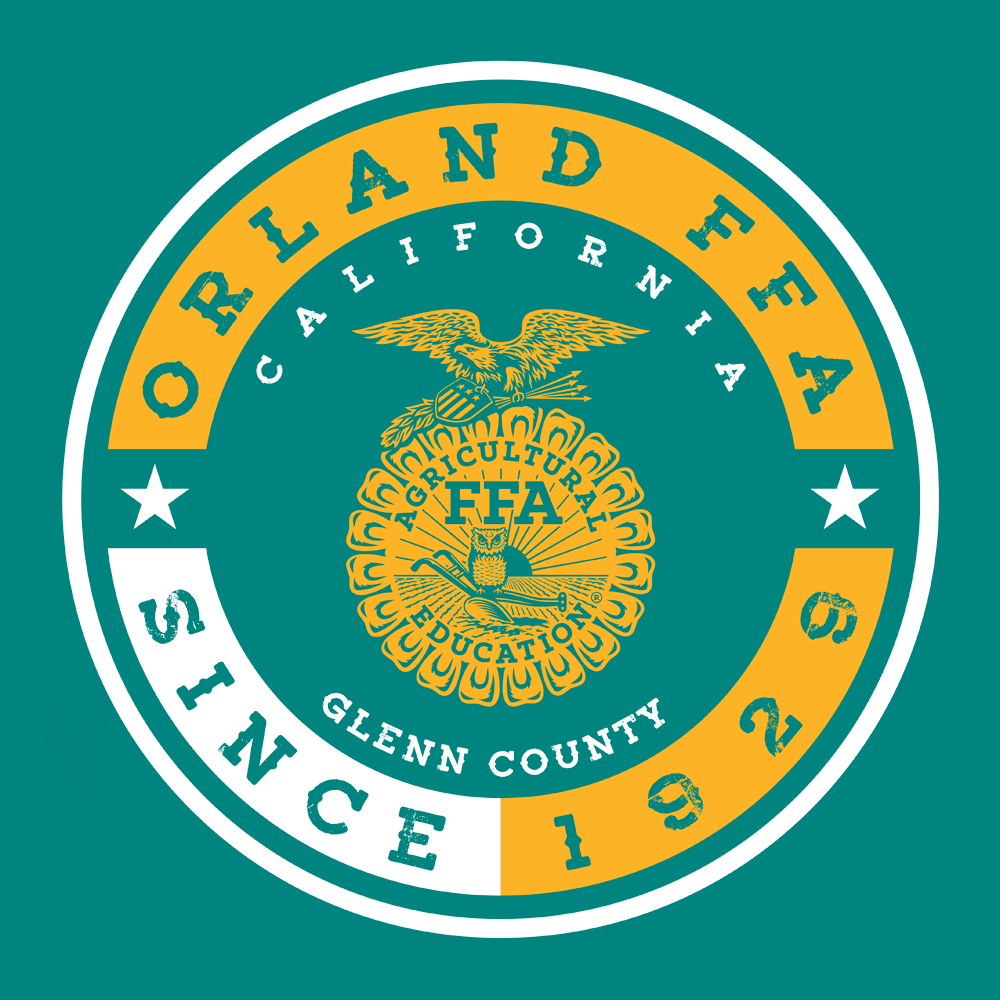 FFA673b