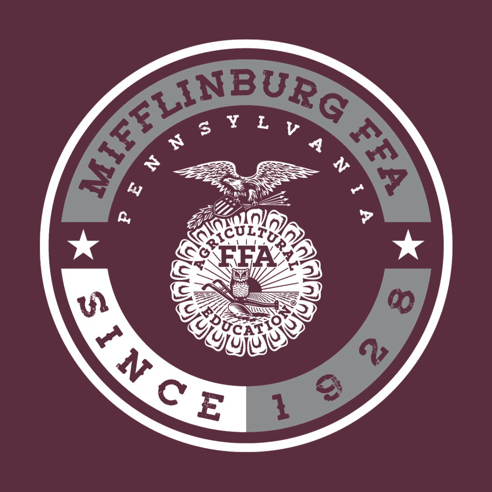 FFA673b