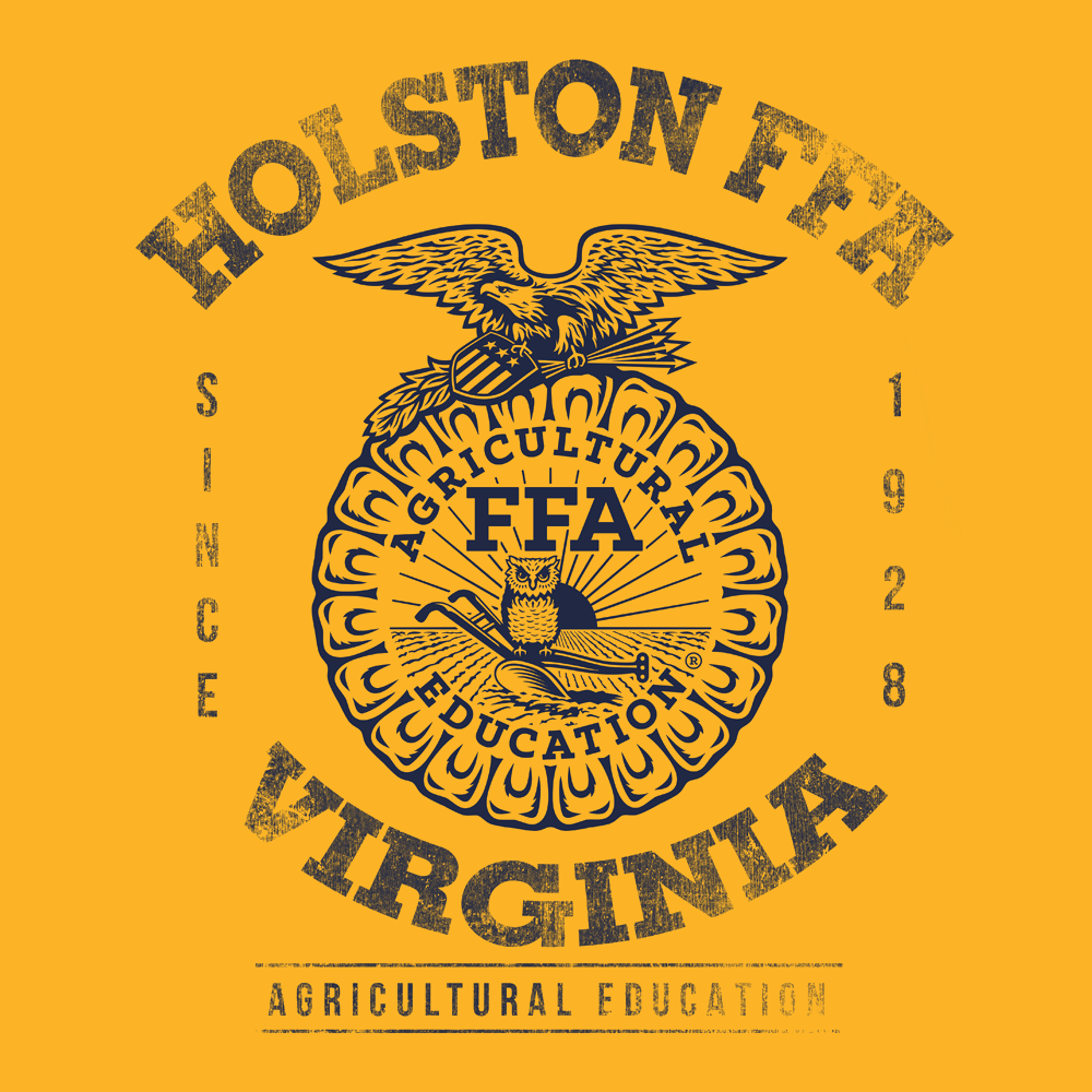 FFA678