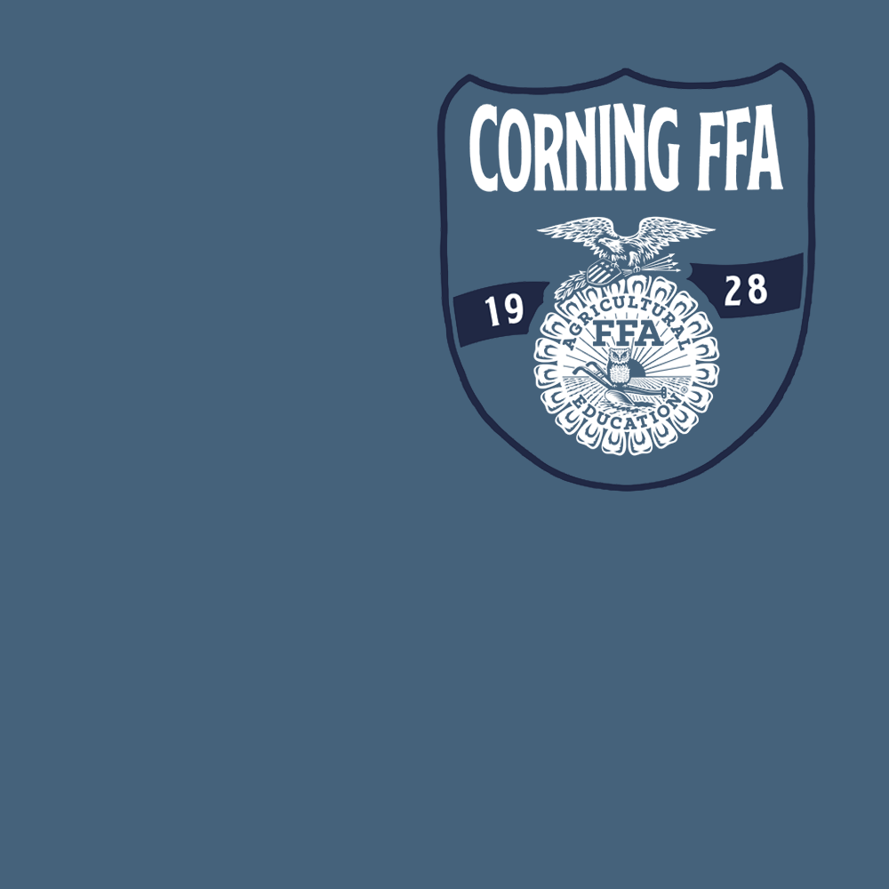 FFA679a