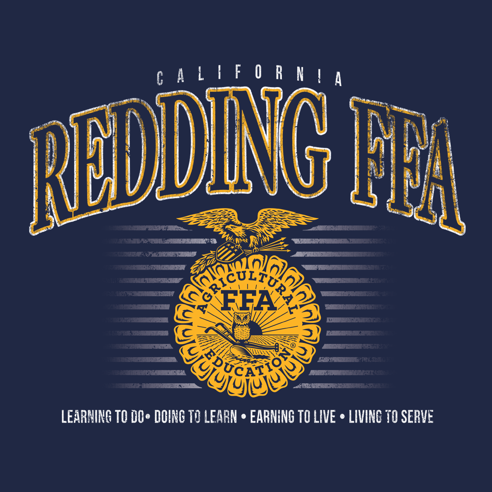 FFA681