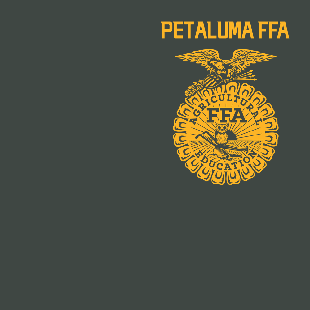 FFA686a