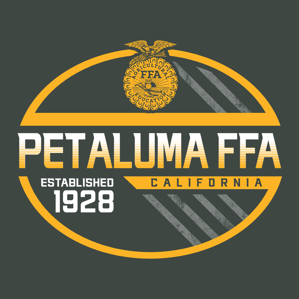 FFA686b