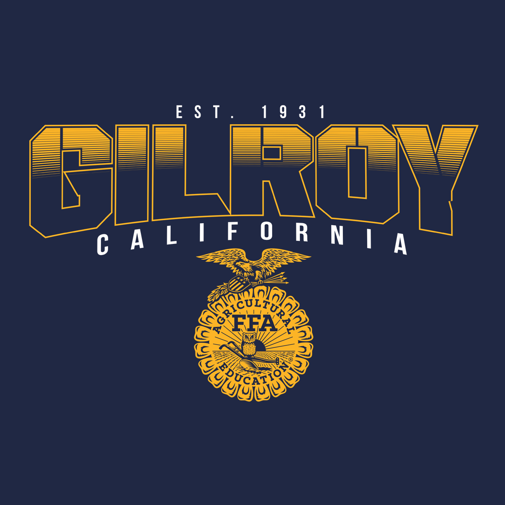 FFA719