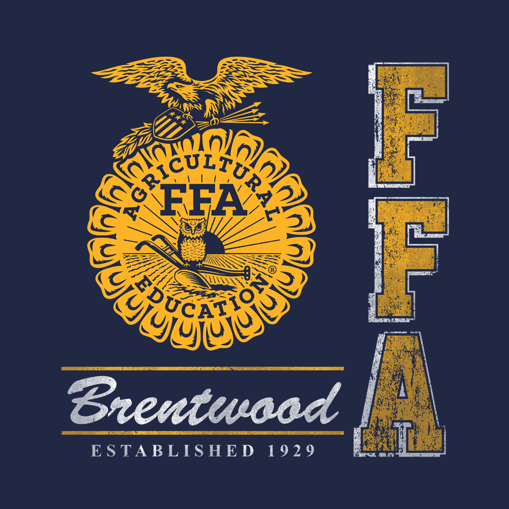 FFA729