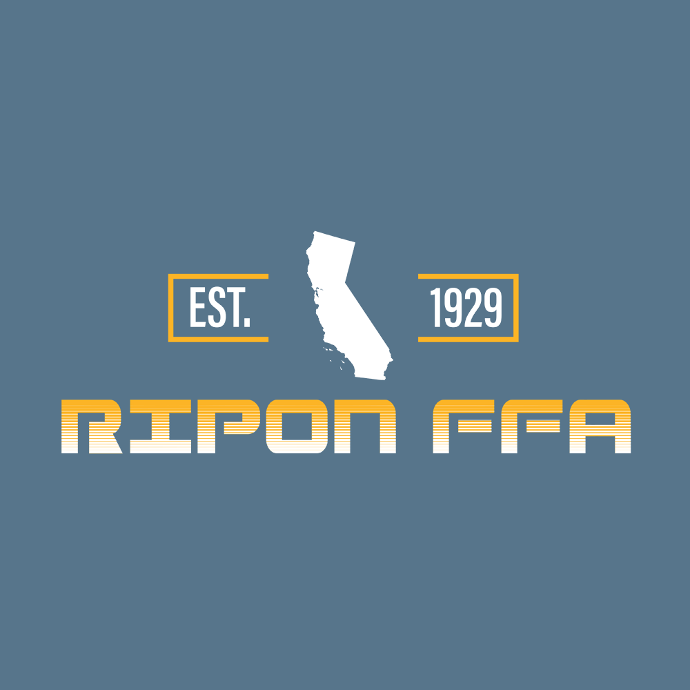 FFA745