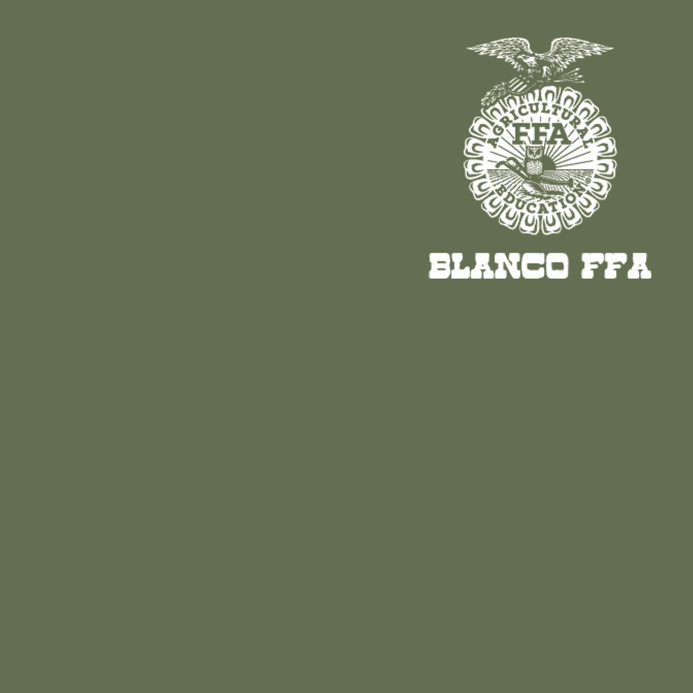 FFA747A