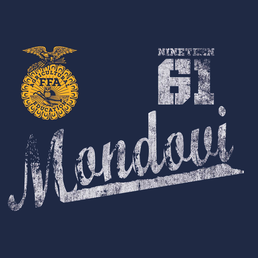 FFA749